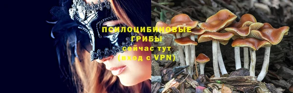 мескалин Баксан