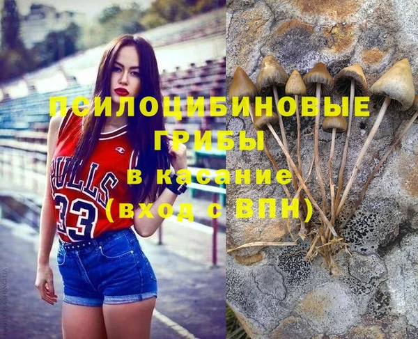 мескалин Баксан
