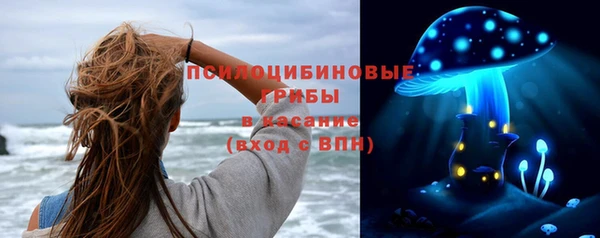 мет Болхов