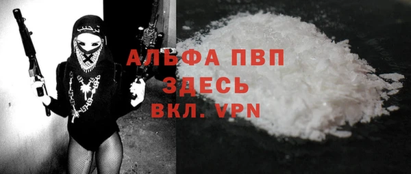 прущие грибы Балабаново
