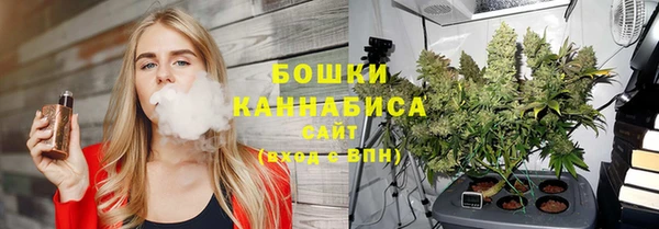 прущие грибы Балабаново