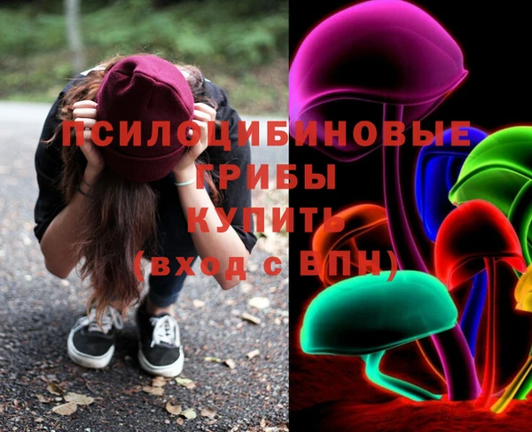 соль ск Балахна