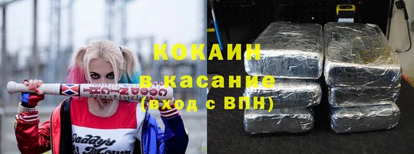 прущие грибы Балабаново