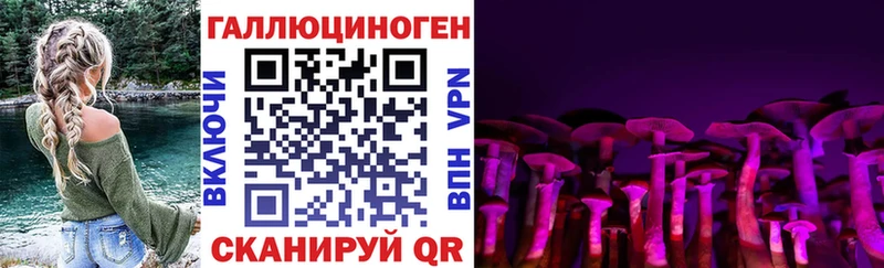 Псилоцибиновые грибы мицелий  Ершов 