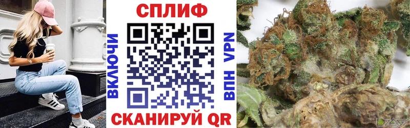 Бошки Шишки семена Ершов