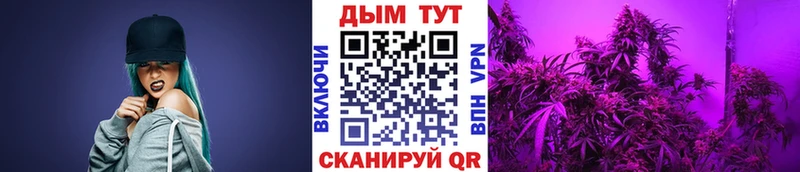 Канабис гибрид  дарнет шоп  Ершов 